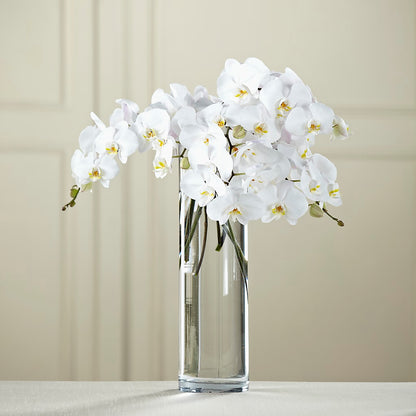 White Phalaenopsis Bouquet –  Dickson Florist, Dickson TN