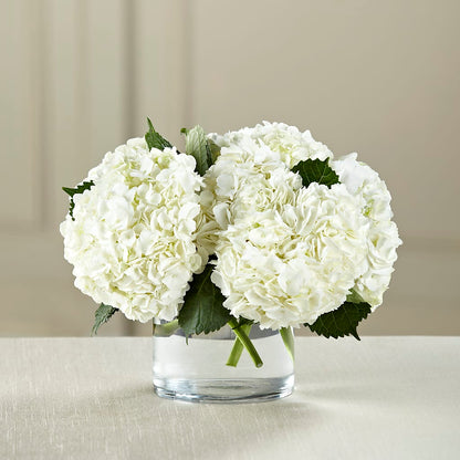 White Hydrangea Bouquet –  Dickson Florist, Dickson TN