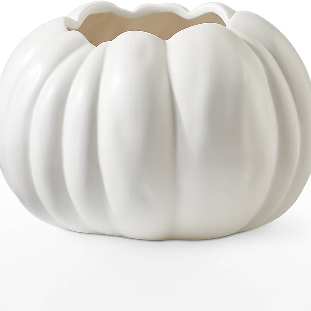 Autumn Air Pumpkin Bouquet –  Dickson Florist, Dickson TN
